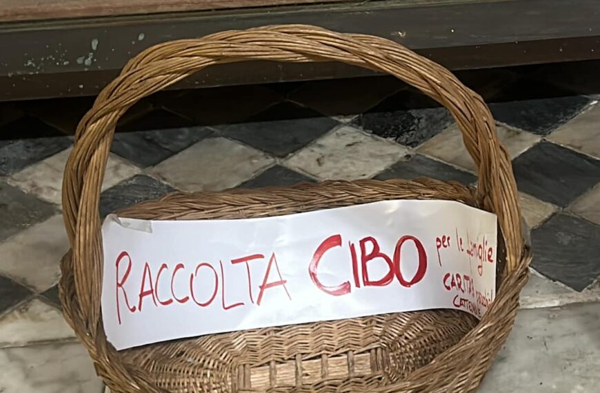 Raccolta generi di prima necessità